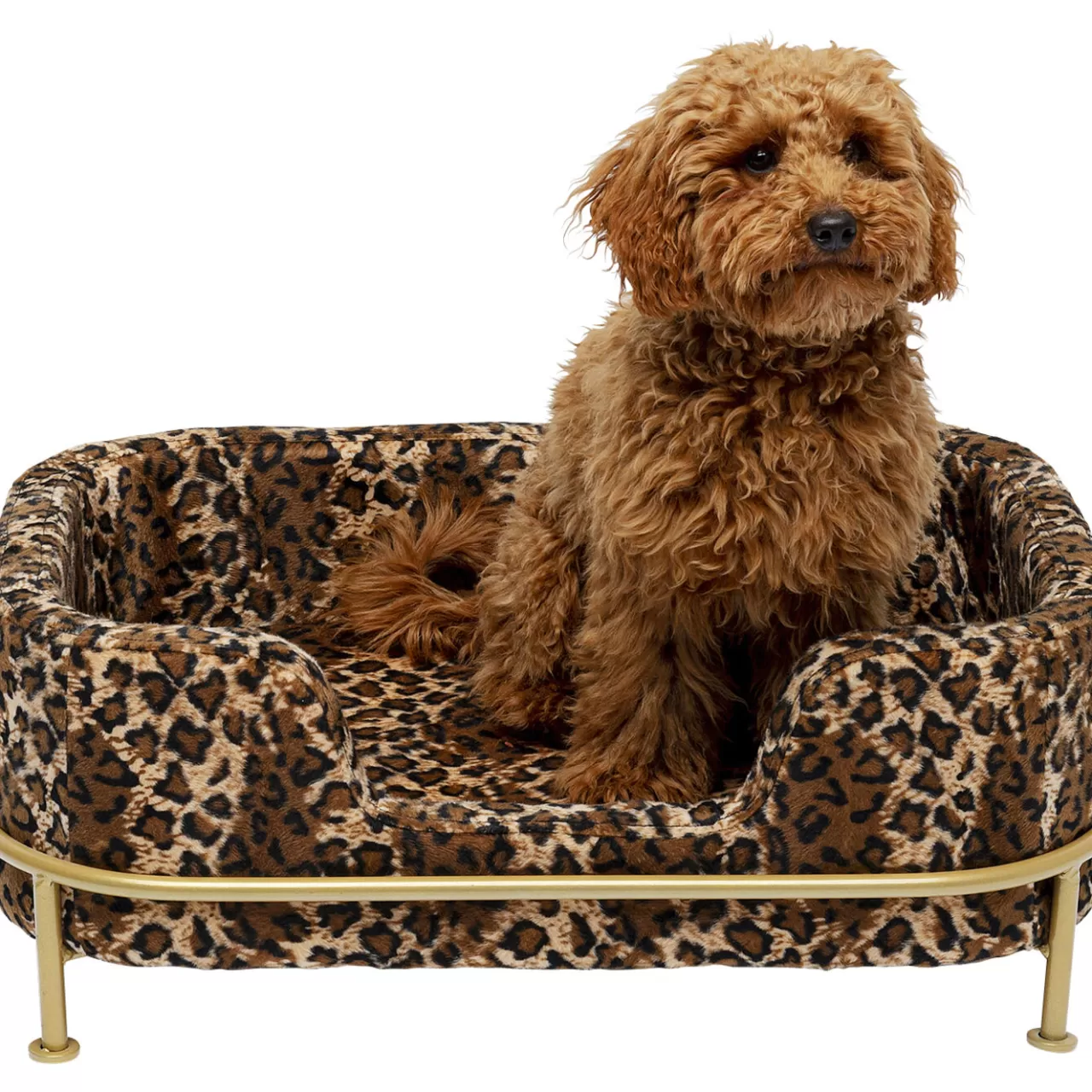 Lit Pour Chien/Chat Diva Leo*KARE Design Cheap