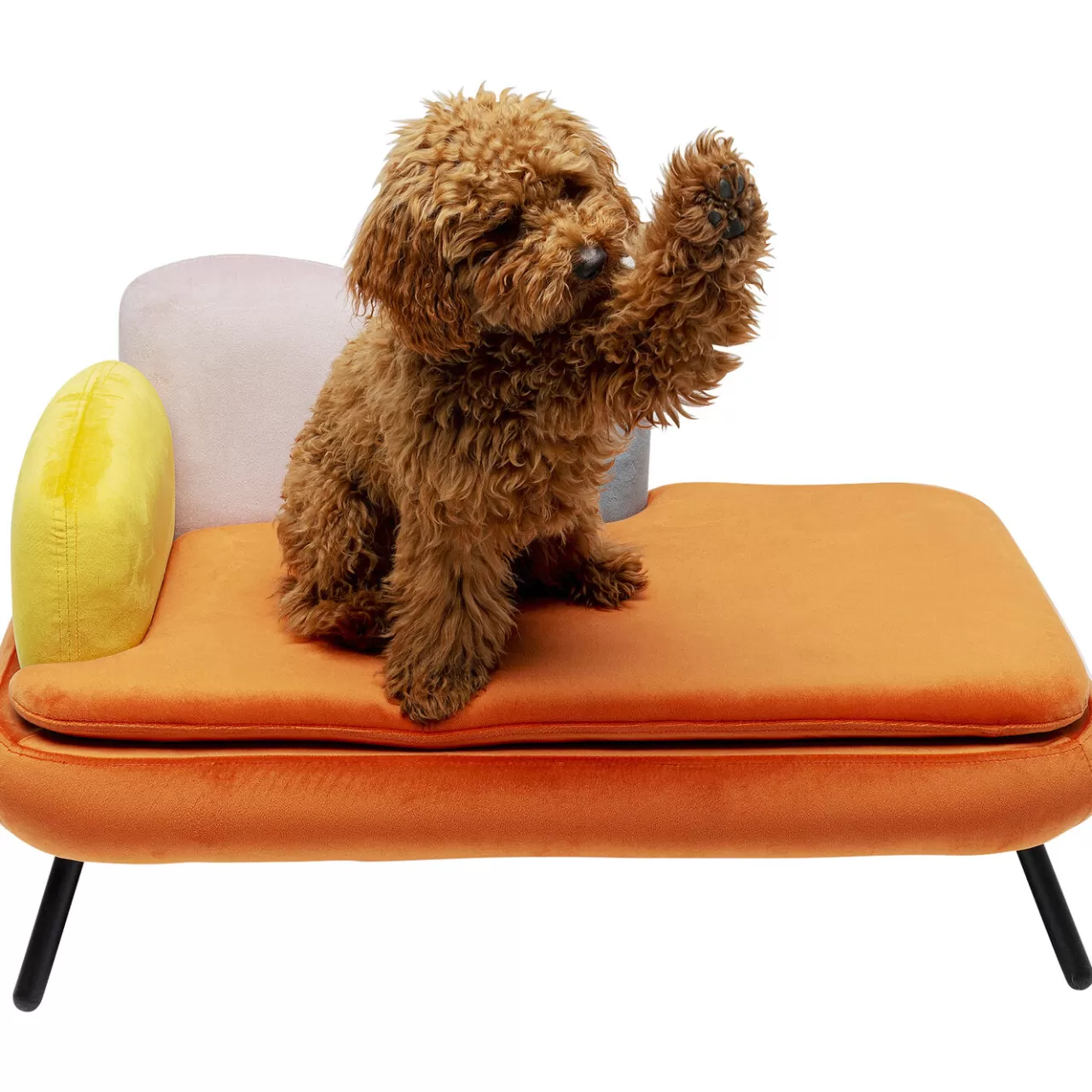 Lit Pour Chien/Chat Diva Orange*KARE Design Best Sale