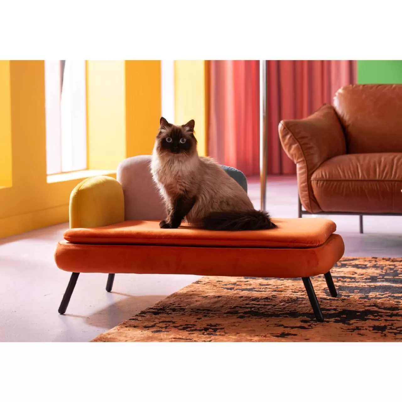 Lit Pour Chien/Chat Diva Orange*KARE Design Best Sale