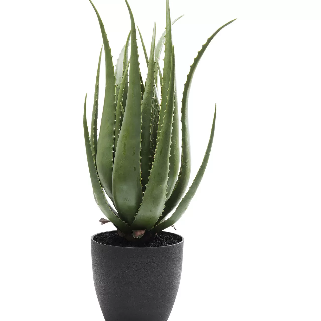 Plante Décorative Aloe 69Cm*KARE Design Flash Sale