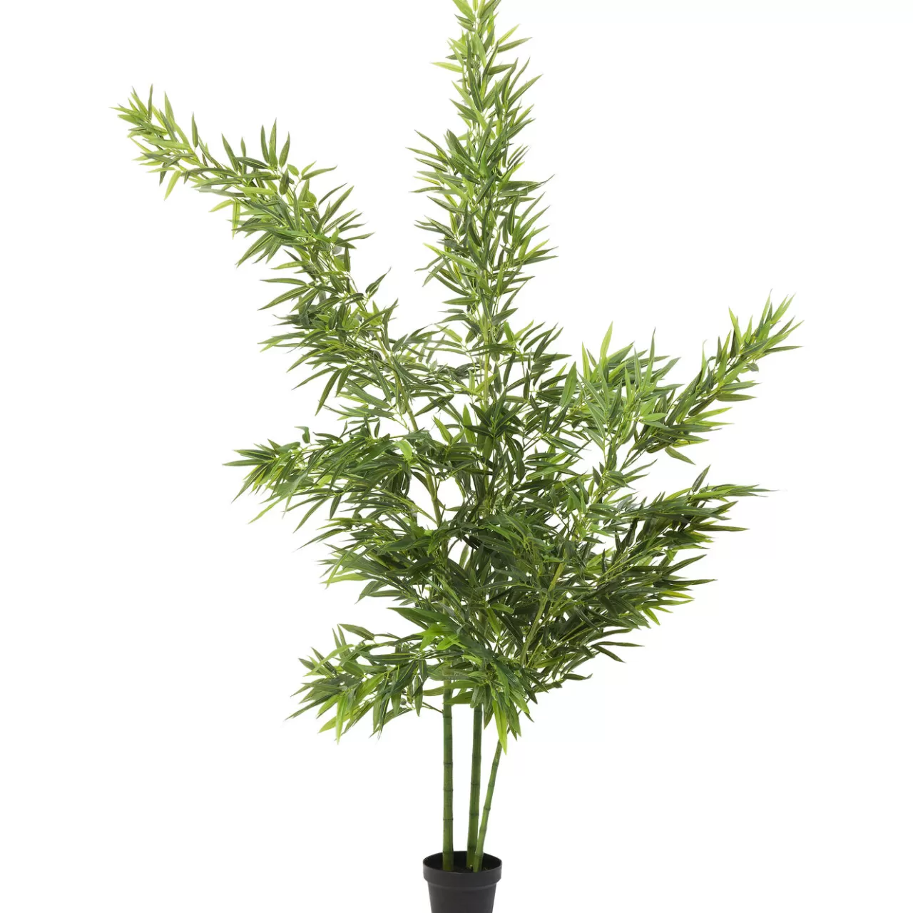 Plante Décorative Bamboo Tree 200Cm*KARE Design Hot