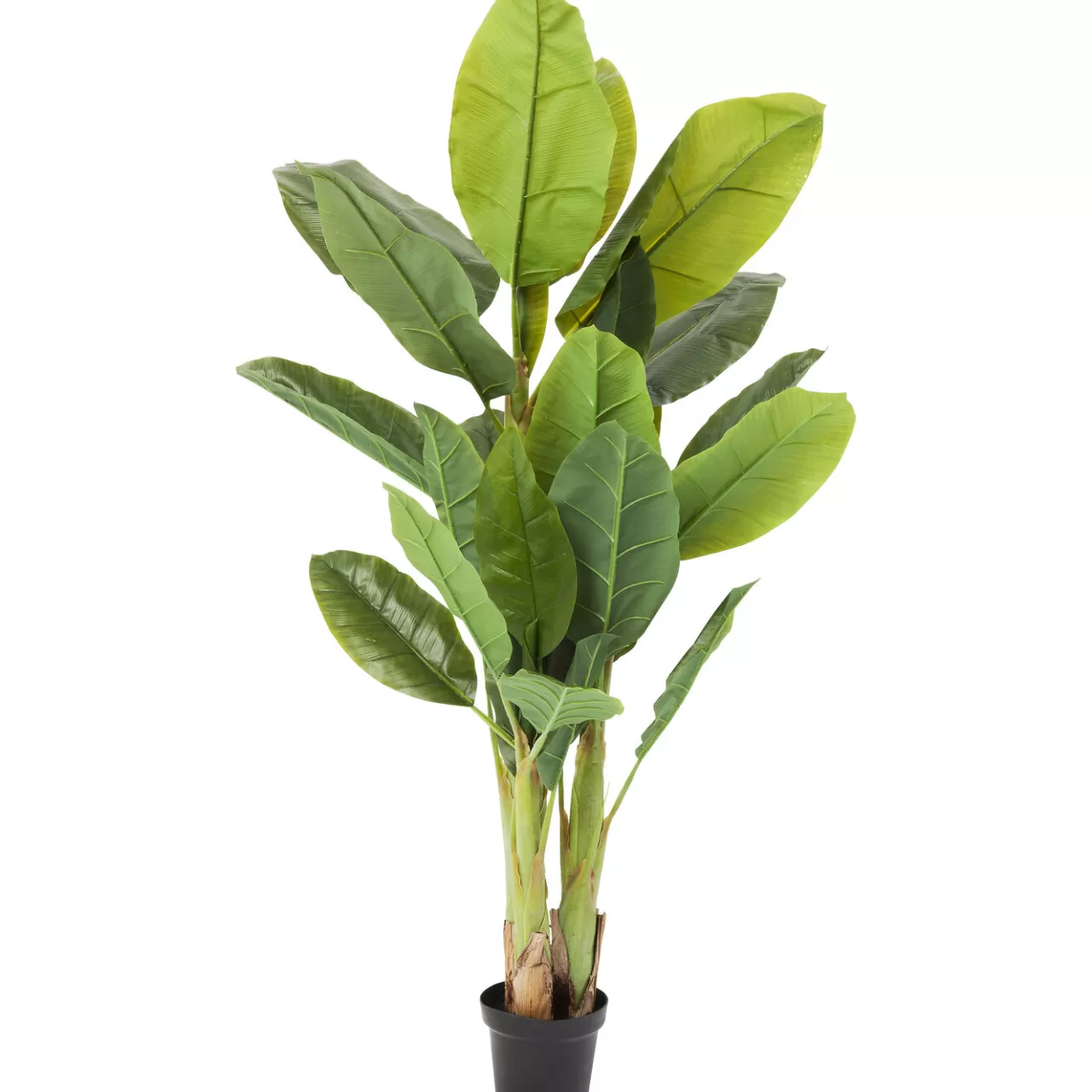 Plante Décorative Banana Tree 180Cm*KARE Design Flash Sale