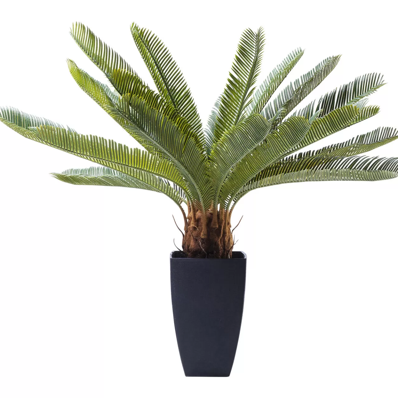 Plante Décorative Cycas Tree 78Cm*KARE Design Shop