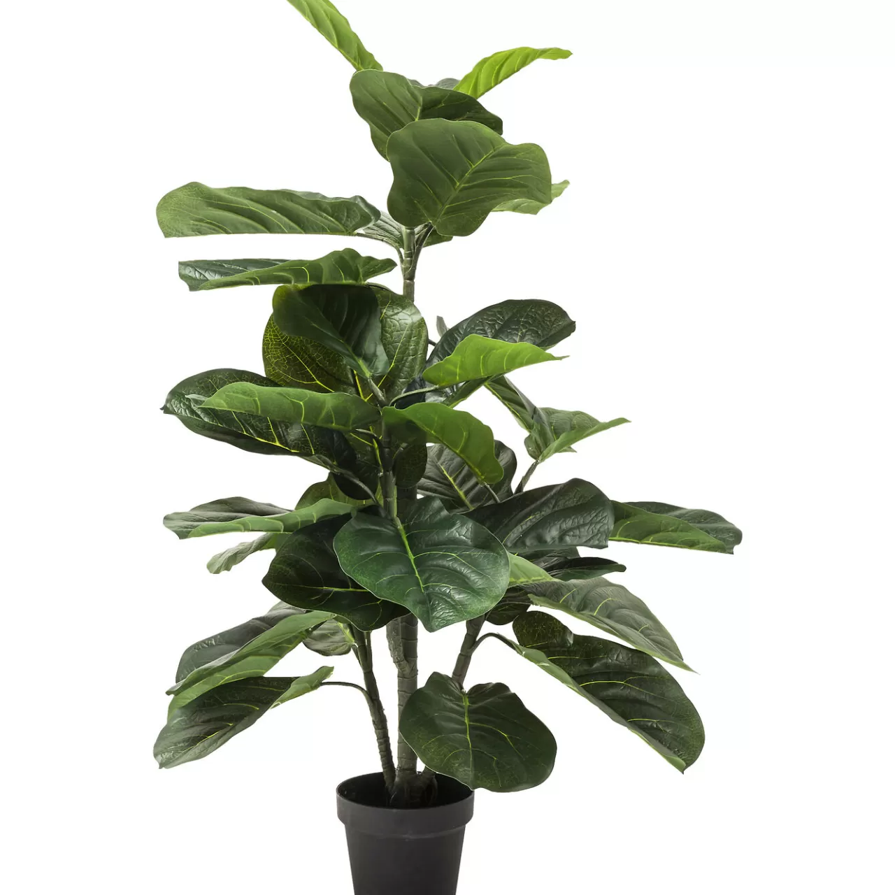 Plante Décorative Fiddle Leaf 120Cm*KARE Design Cheap