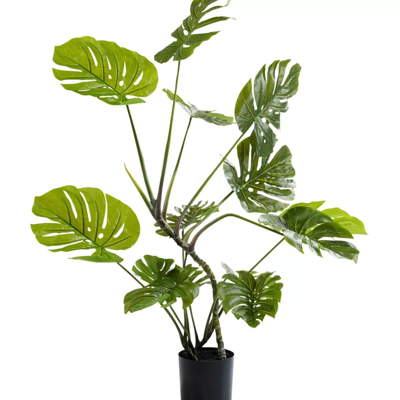 Plante Décorative Monstera 110*KARE Design Discount