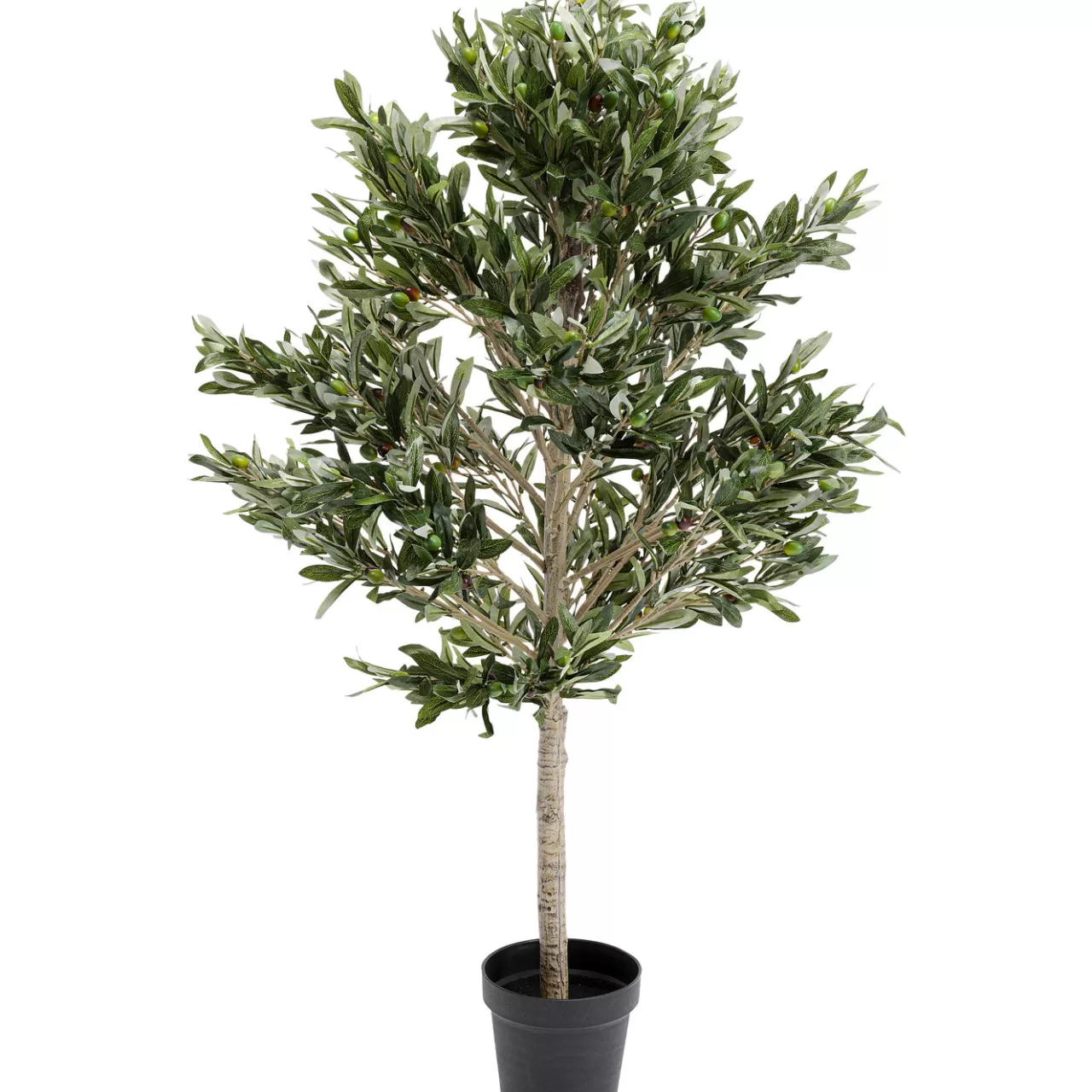 Plante Décorative Olive Tree 120Cm*KARE Design Store