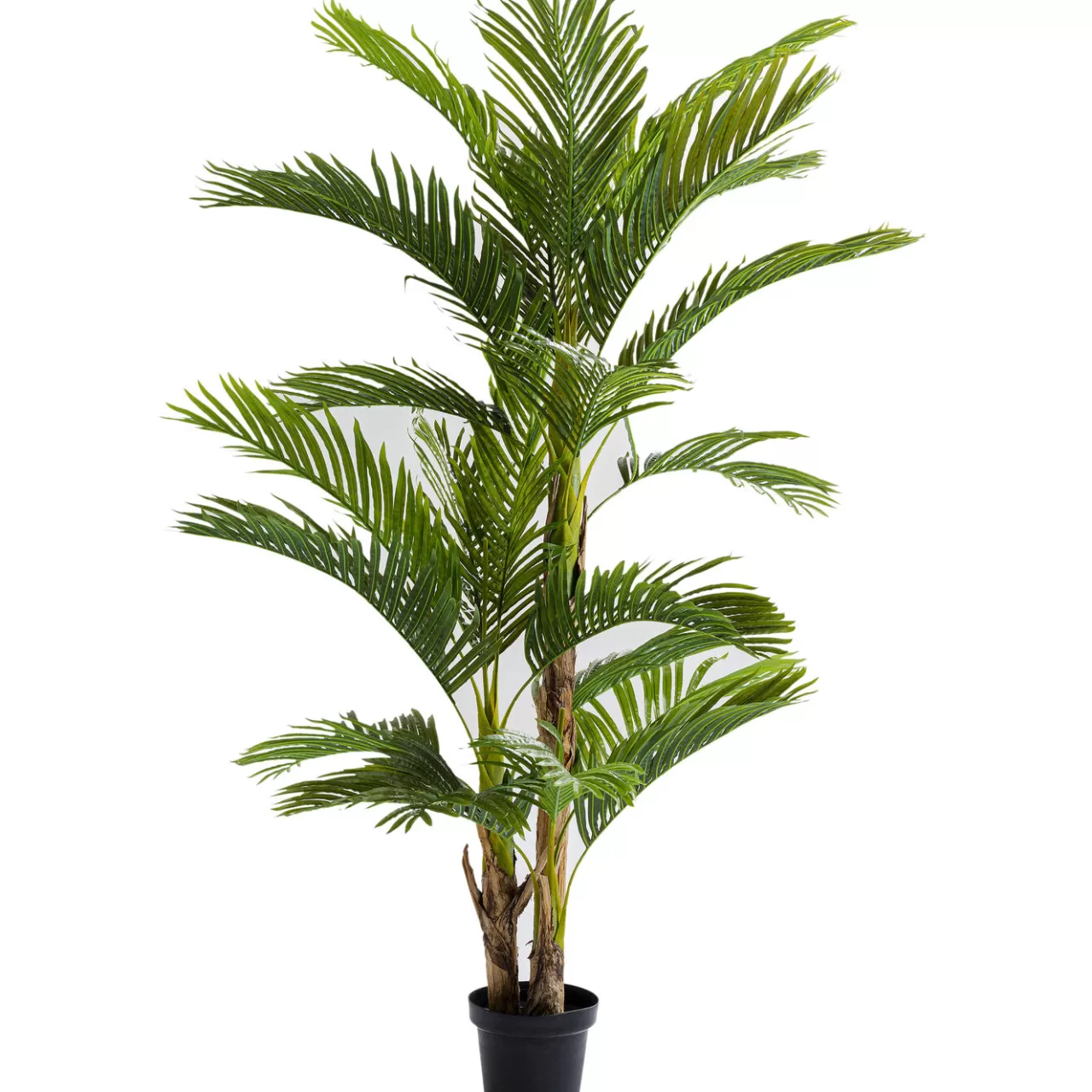 Plante Décorative Palm Tree 190Cm*KARE Design Clearance