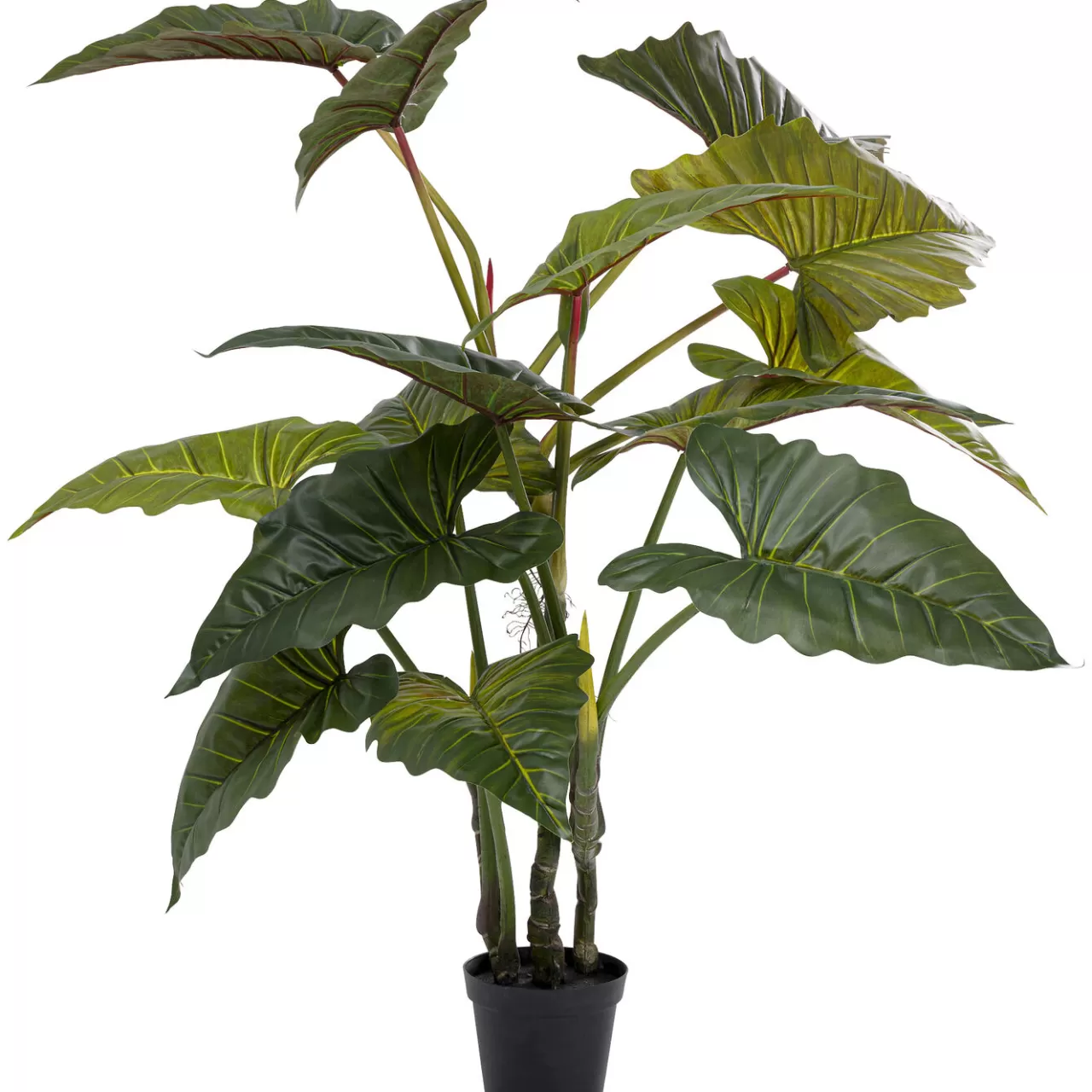 Plante Décorative Taro 180*KARE Design New