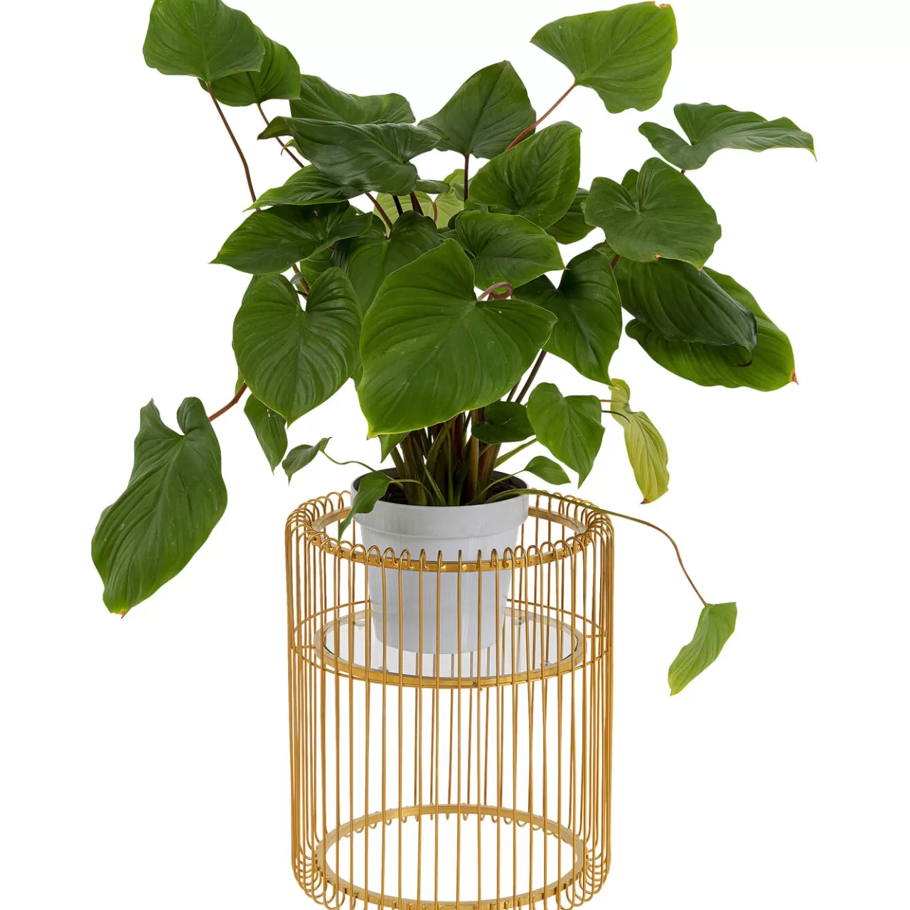 Porte-Plantes Wire Dore 44Cm*KARE Design Cheap