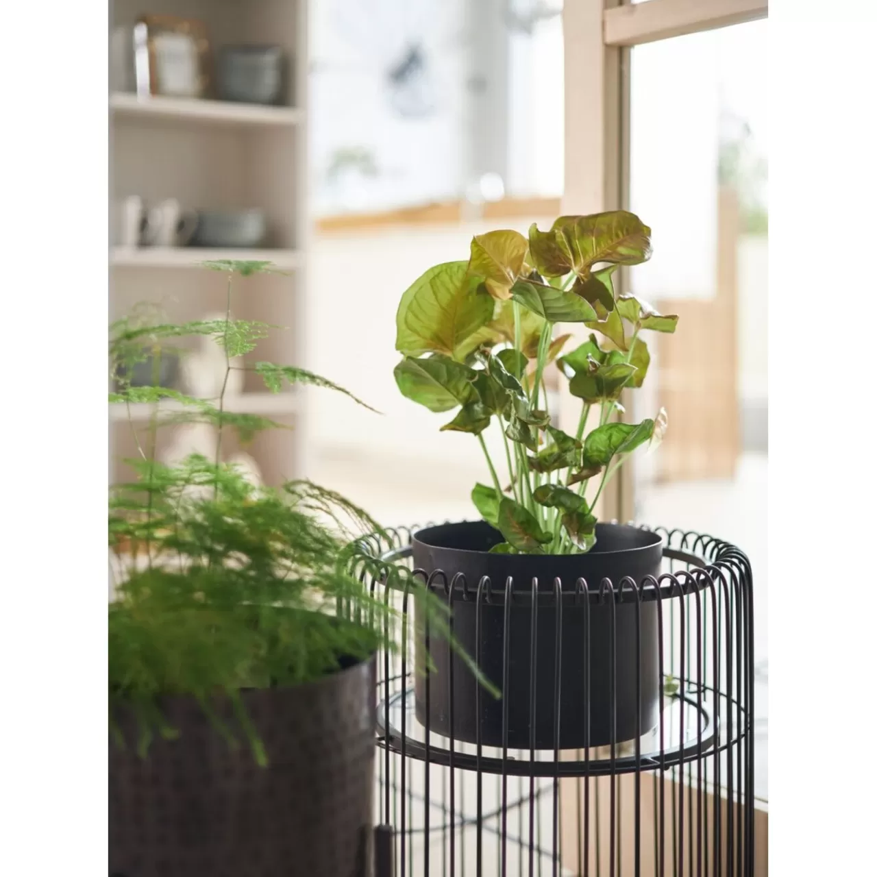 Porte-Plantes Wire Noir 44Cm*KARE Design Sale