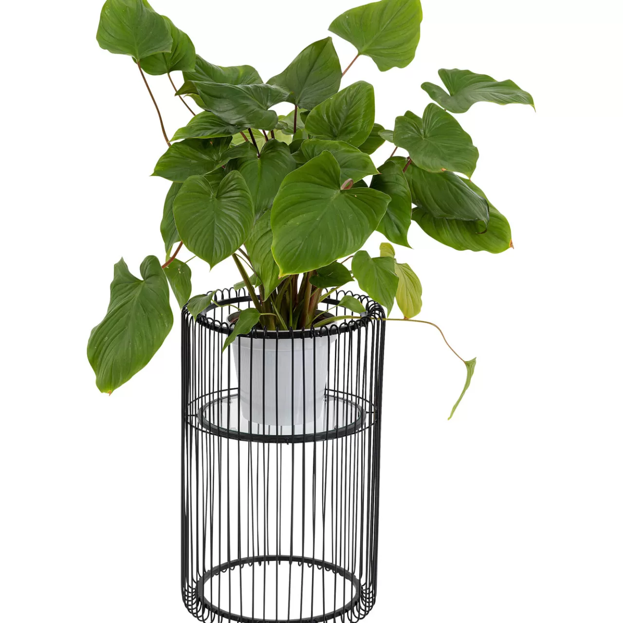 Porte-Plantes Wire Noir 57Cm*KARE Design Sale