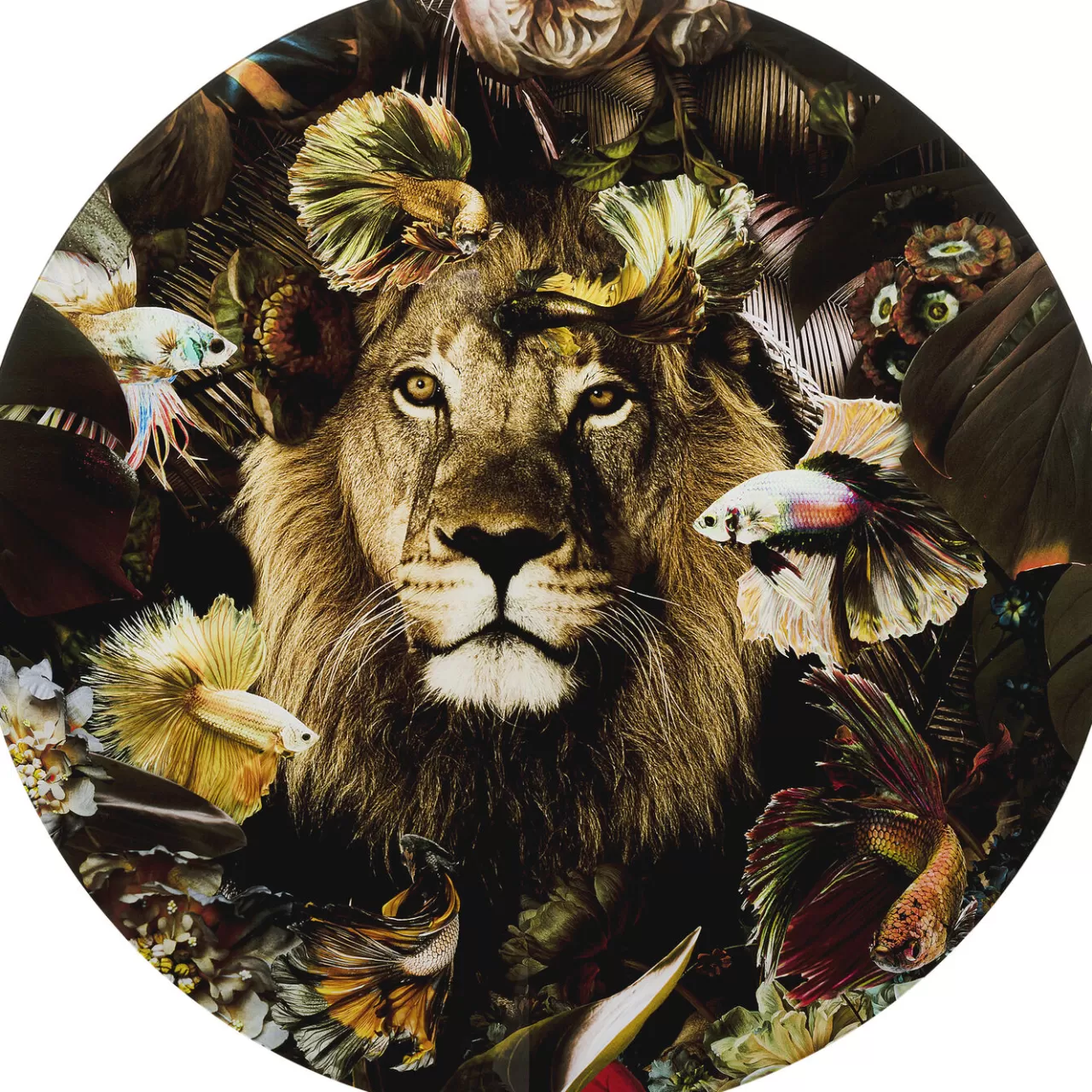 Tableau En Verre Curious Lion O100Cm*KARE Design Sale