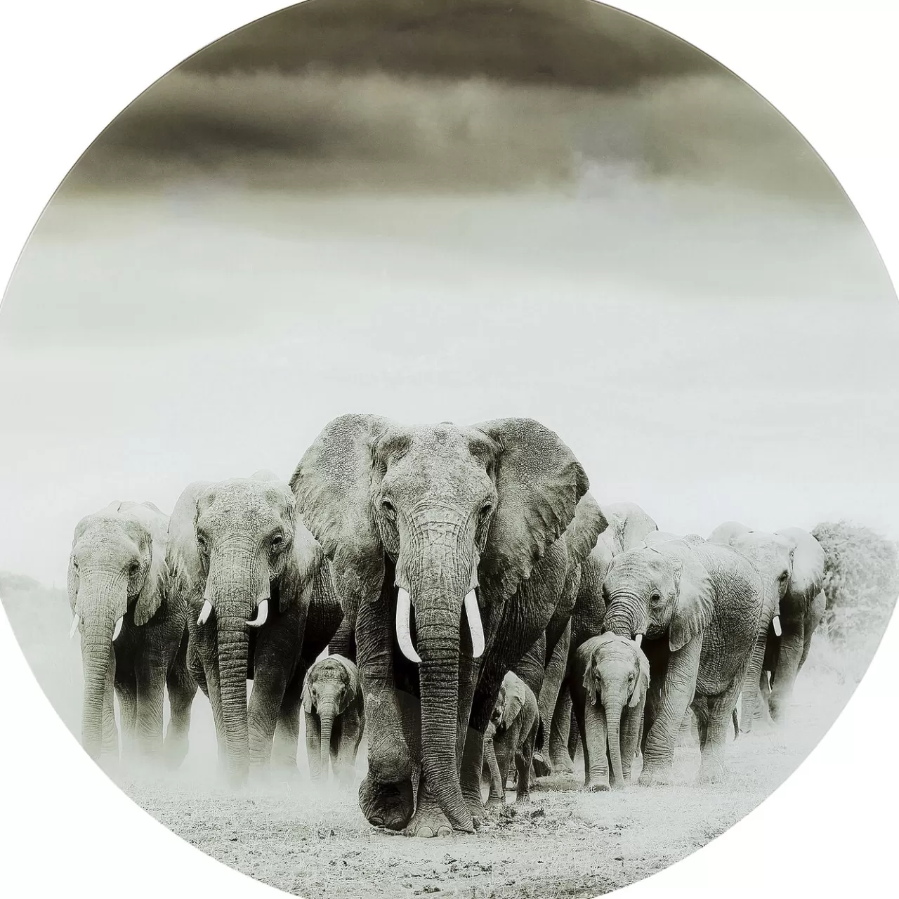 Tableau En Verre Elephant Walk O120Cm*KARE Design Online