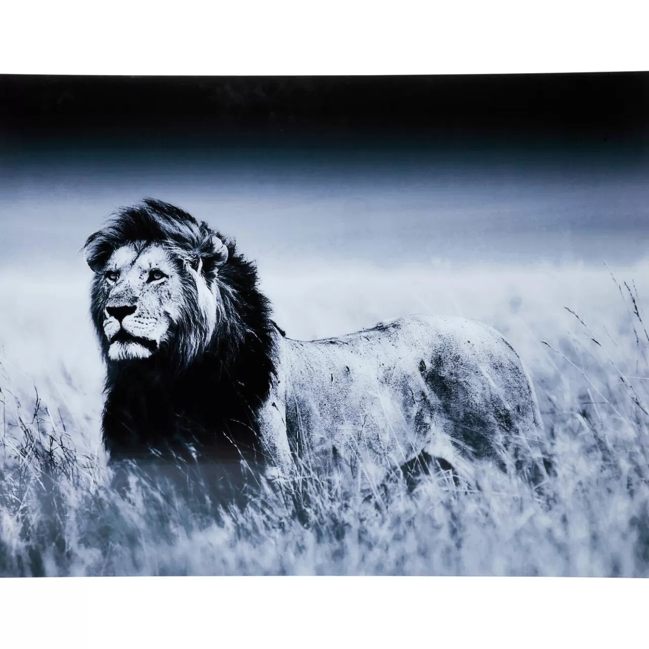 Tableau En Verre Lion King Standing 160X120Cm*KARE Design New