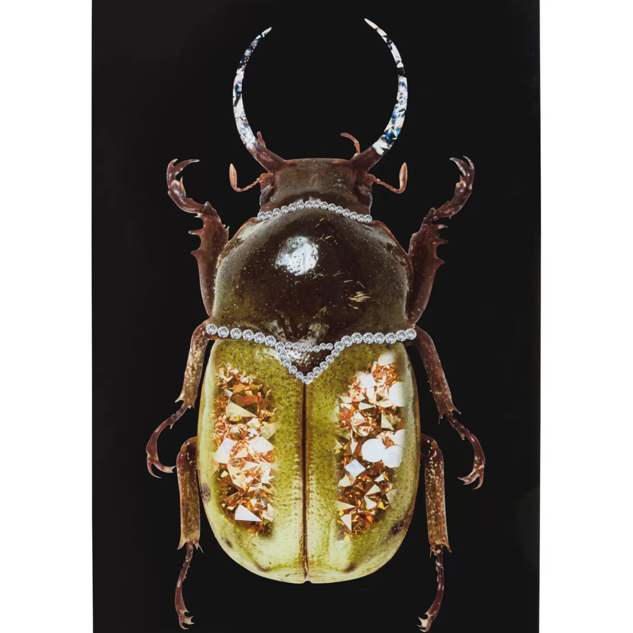 Tableau En Verre Shiney Dung Beetle 80X120Cm*KARE Design Fashion