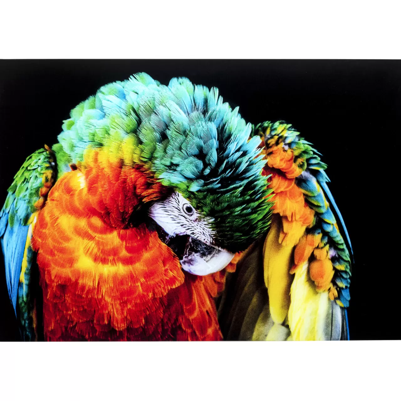 Tableau En Verre Tropical Parrot 120X80Cm*KARE Design Best Sale