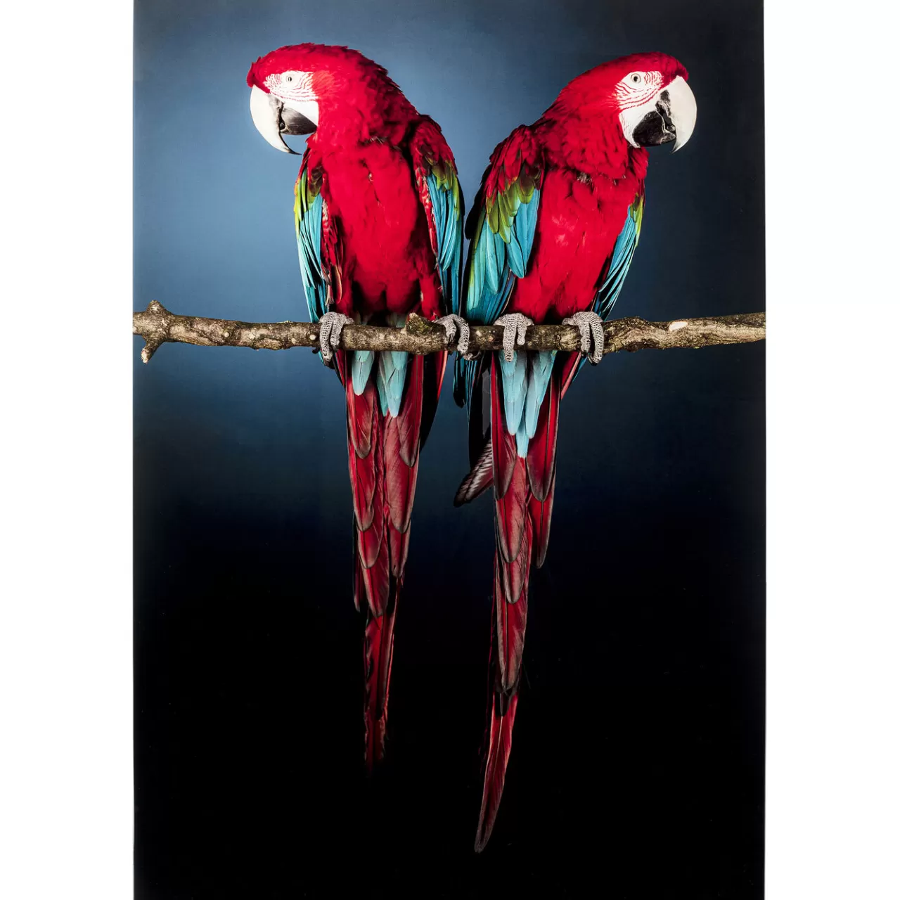 Tableau En Verre Twin Parrot 80X120Cm*KARE Design Best